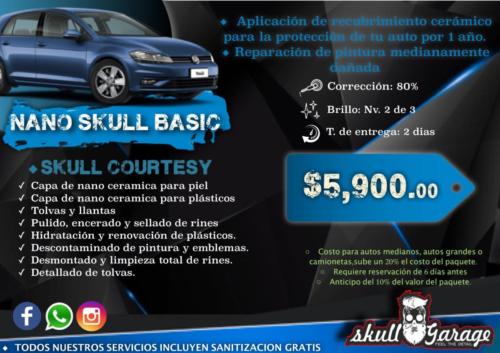 nano skull basic