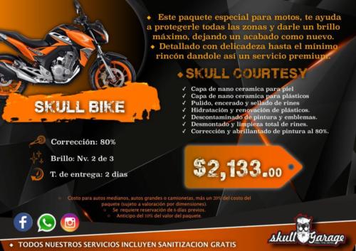 skull bike