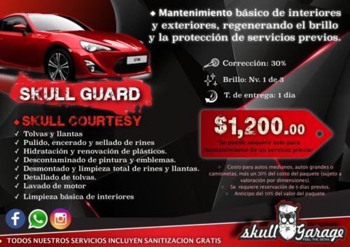 skull guard